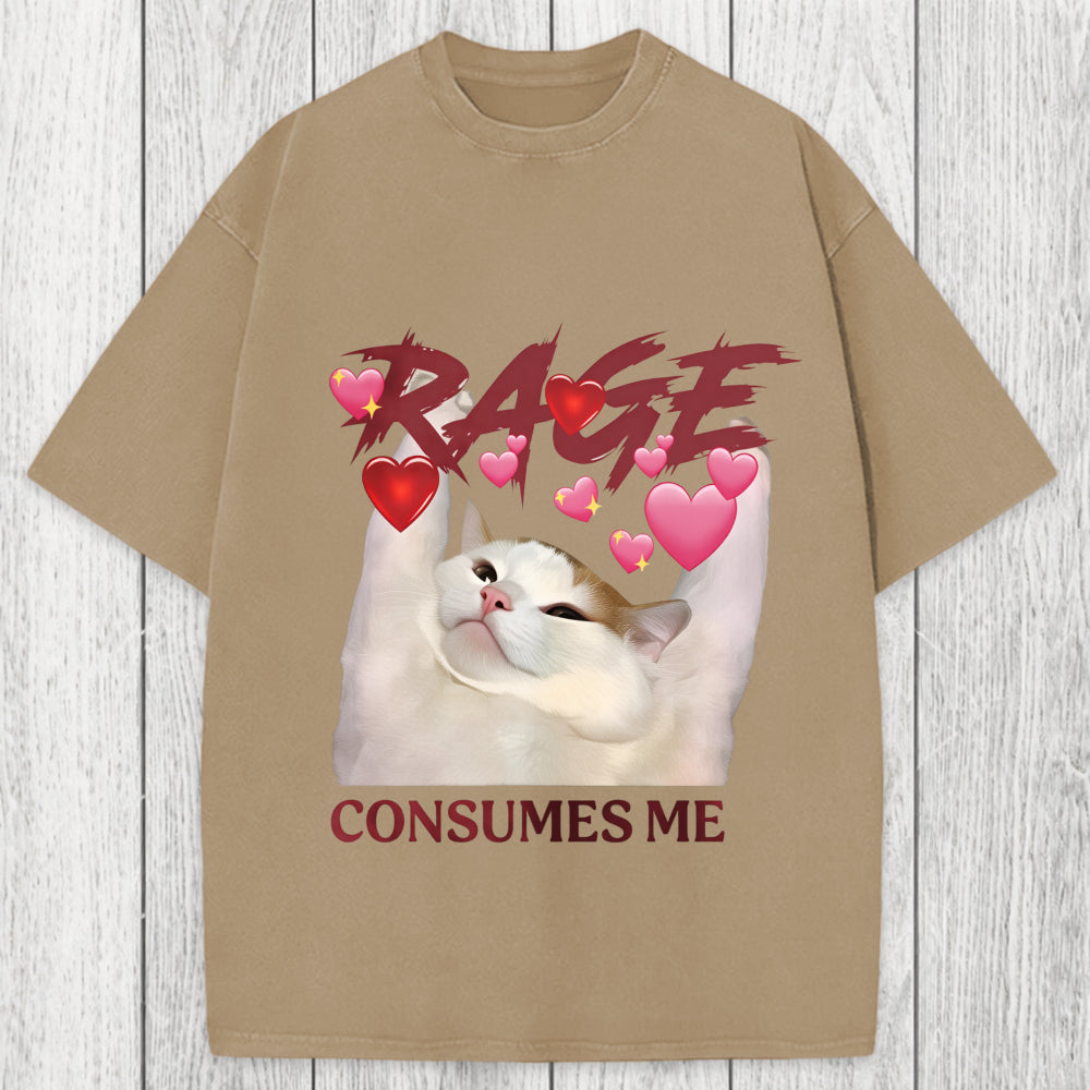 Tokyosol Rage Consumes Me Funny Cat Meme Washed T-Shirt