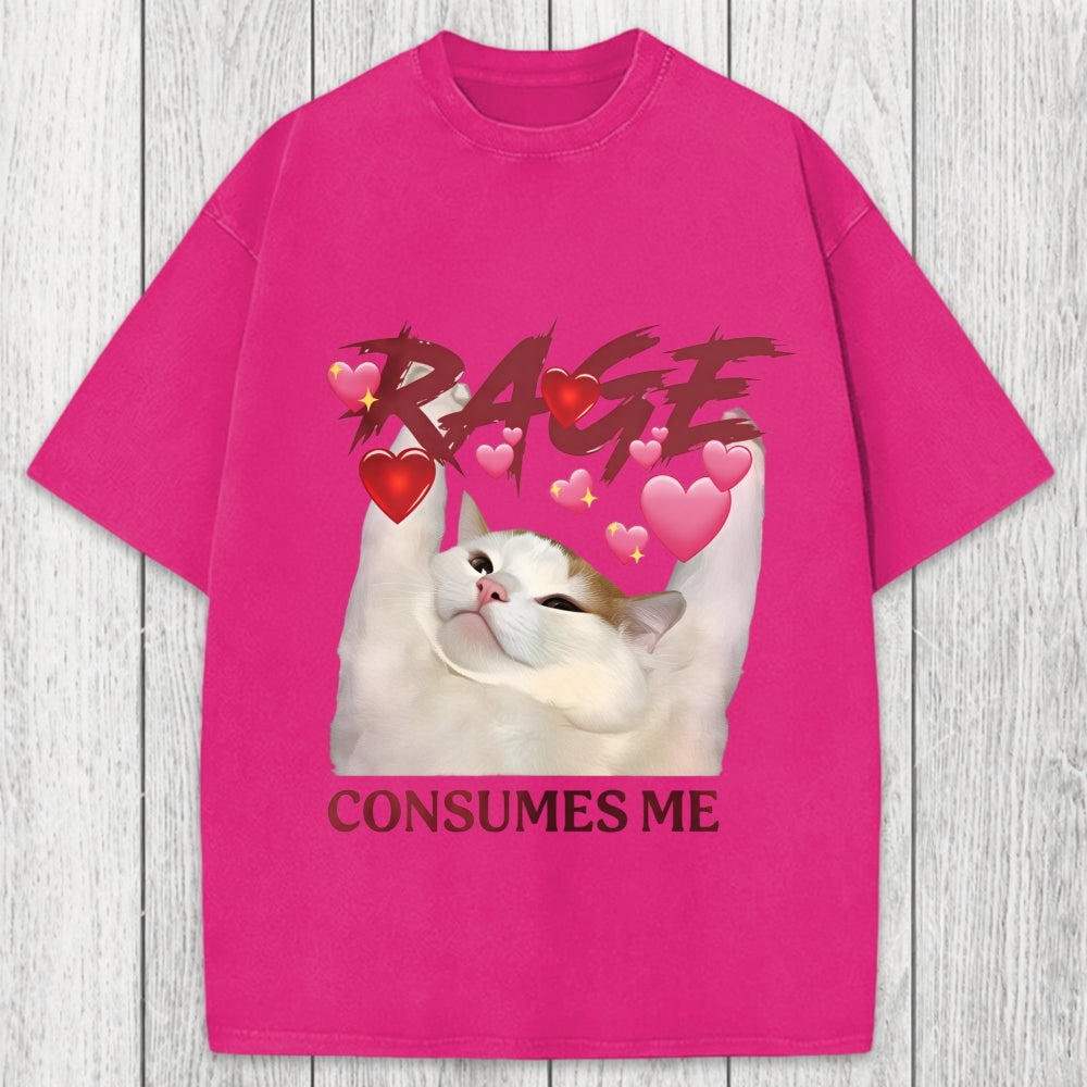 Tokyosol Rage Consumes Me Funny Cat Meme Washed T-Shirt