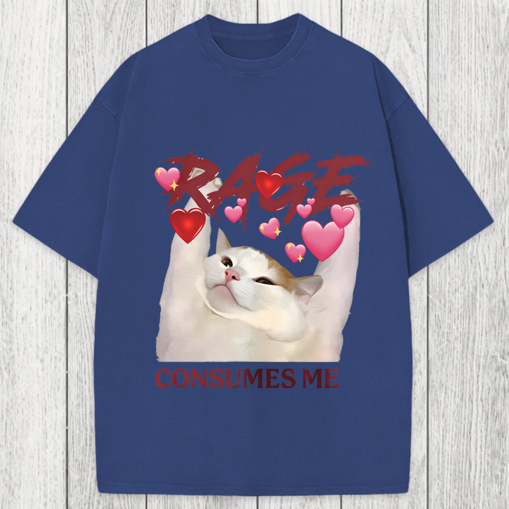 Tokyosol Rage Consumes Me Funny Cat Meme Washed T-Shirt