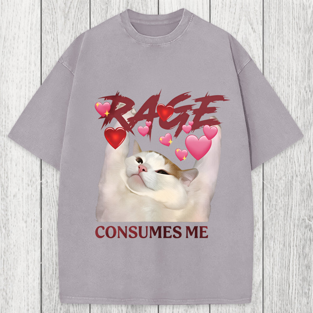 Tokyosol Rage Consumes Me Funny Cat Meme Washed T-Shirt