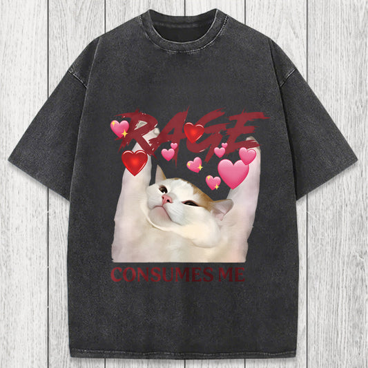 Tokyosol Rage Consumes Me Funny Cat Meme Washed T-Shirt