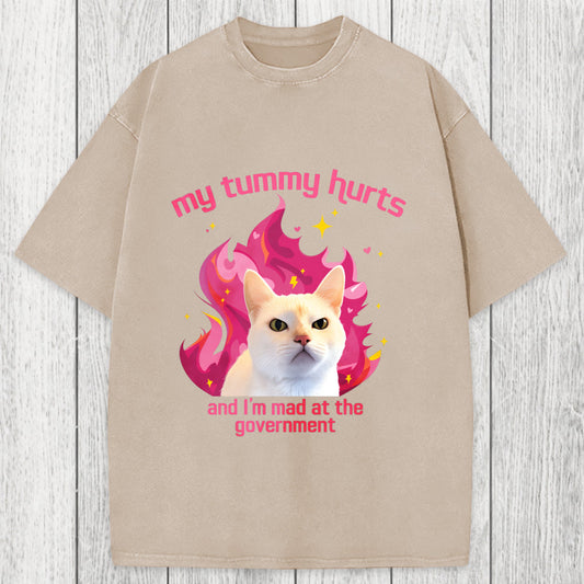 Tokyosol My Tummy Hurts Funny Cat Meme Washed T-Shirt