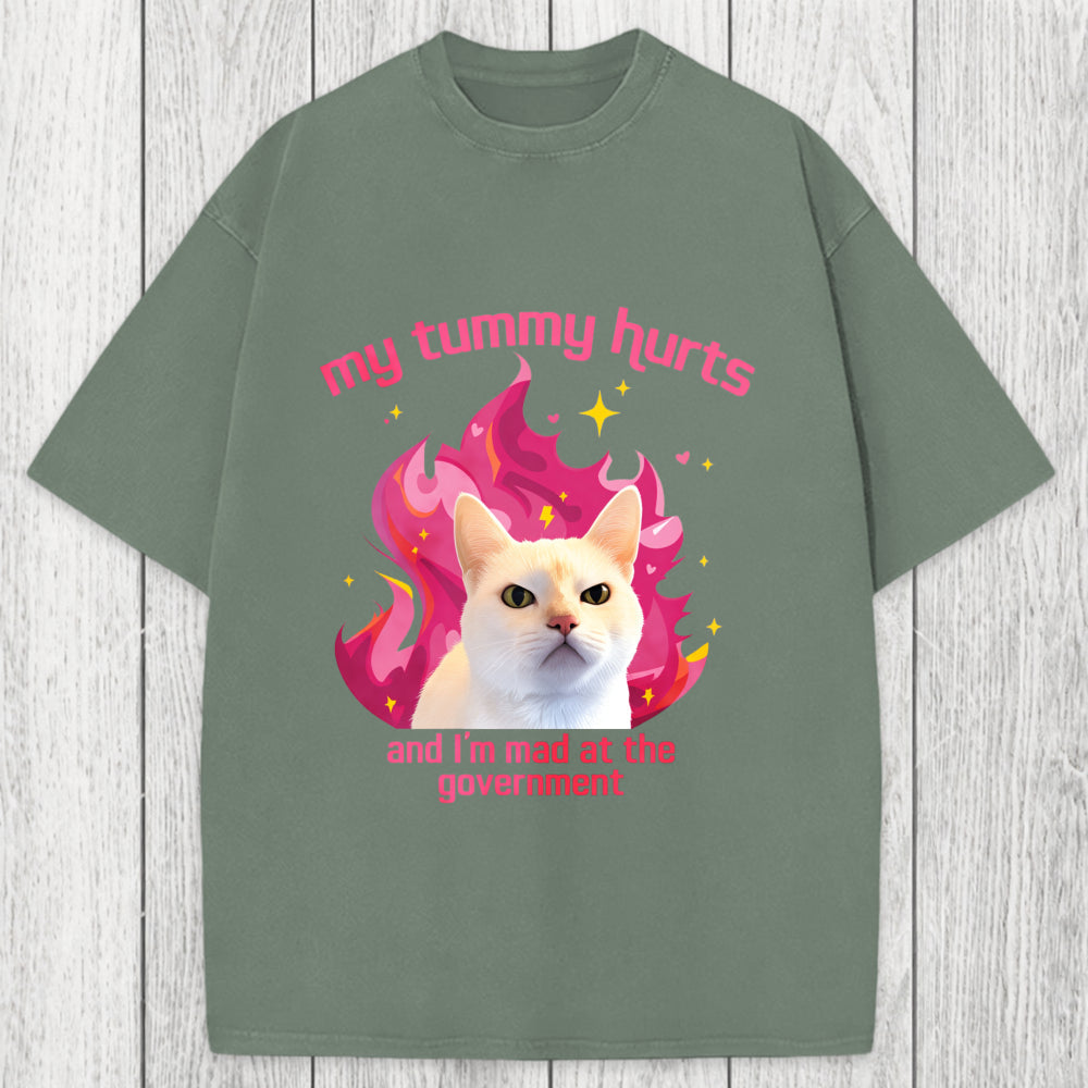 Tokyosol My Tummy Hurts Funny Cat Meme Washed T-Shirt