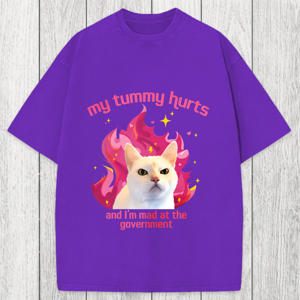 Tokyosol My Tummy Hurts Funny Cat Meme Washed T-Shirt