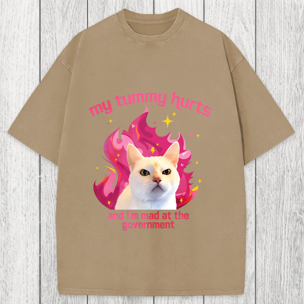 Tokyosol My Tummy Hurts Funny Cat Meme Washed T-Shirt