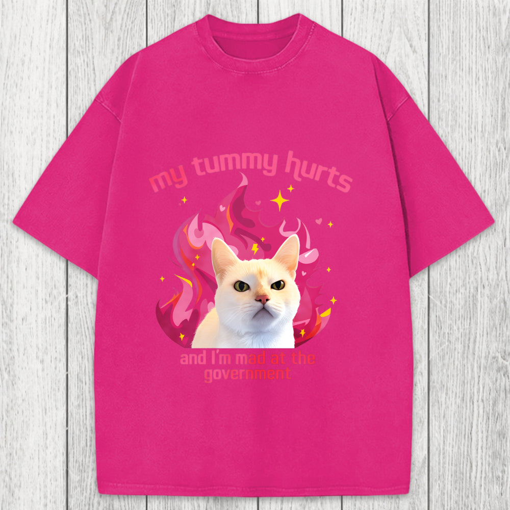Tokyosol My Tummy Hurts Funny Cat Meme Washed T-Shirt