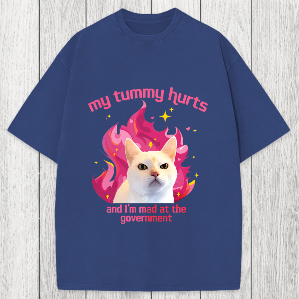 Tokyosol My Tummy Hurts Funny Cat Meme Washed T-Shirt