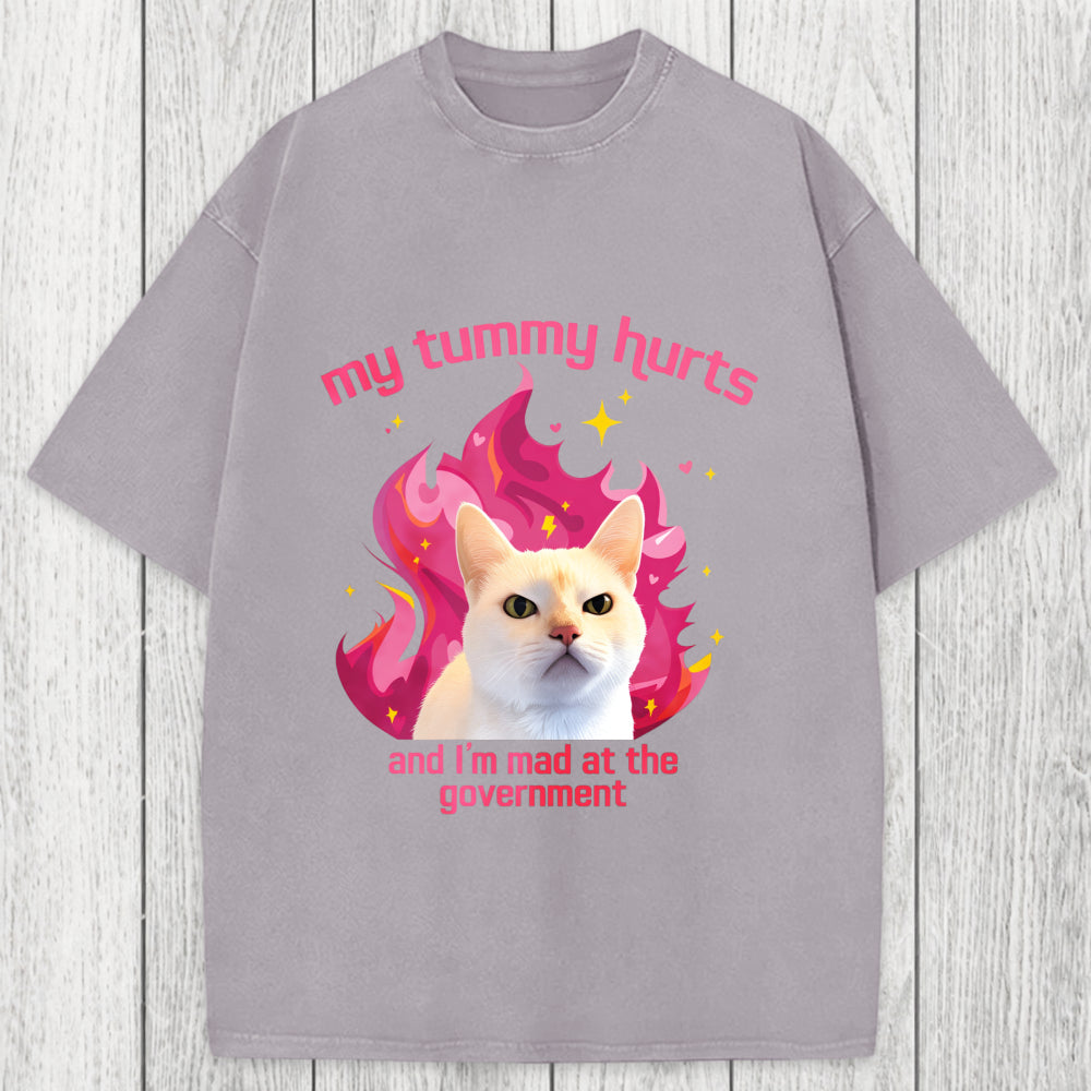 Tokyosol My Tummy Hurts Funny Cat Meme Washed T-Shirt