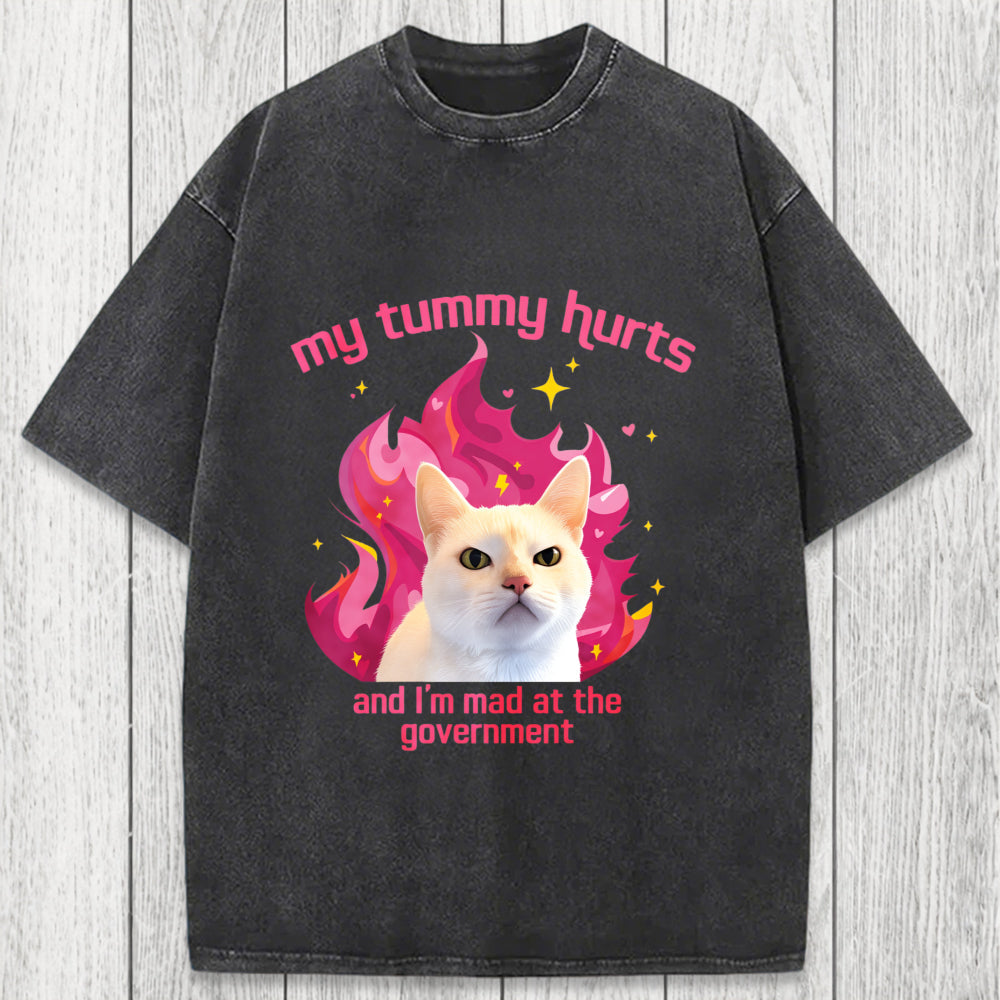 Tokyosol My Tummy Hurts Funny Cat Meme Washed T-Shirt