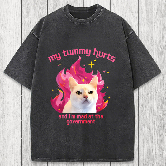 Tokyosol My Tummy Hurts Funny Cat Meme Washed T-Shirt