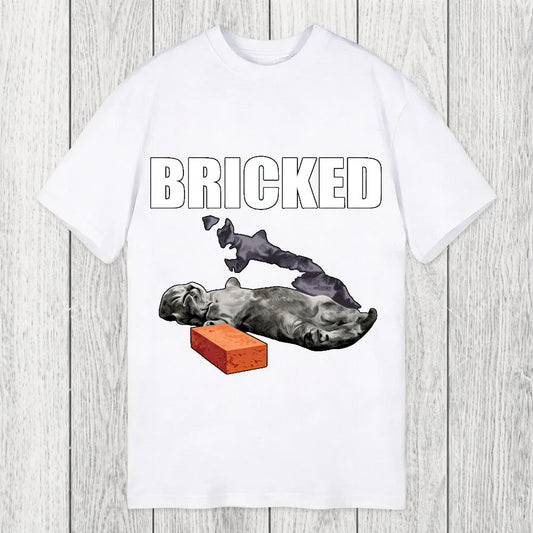 Tokyosol Bricked Funny Cat Knocked Out Classic T-Shirt