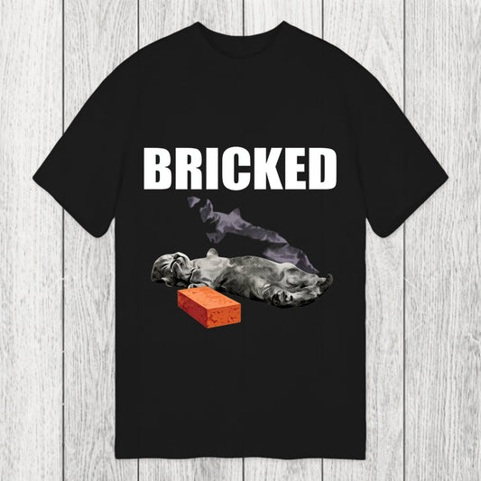 Tokyosol Bricked Funny Cat Knocked Out Classic T-Shirt
