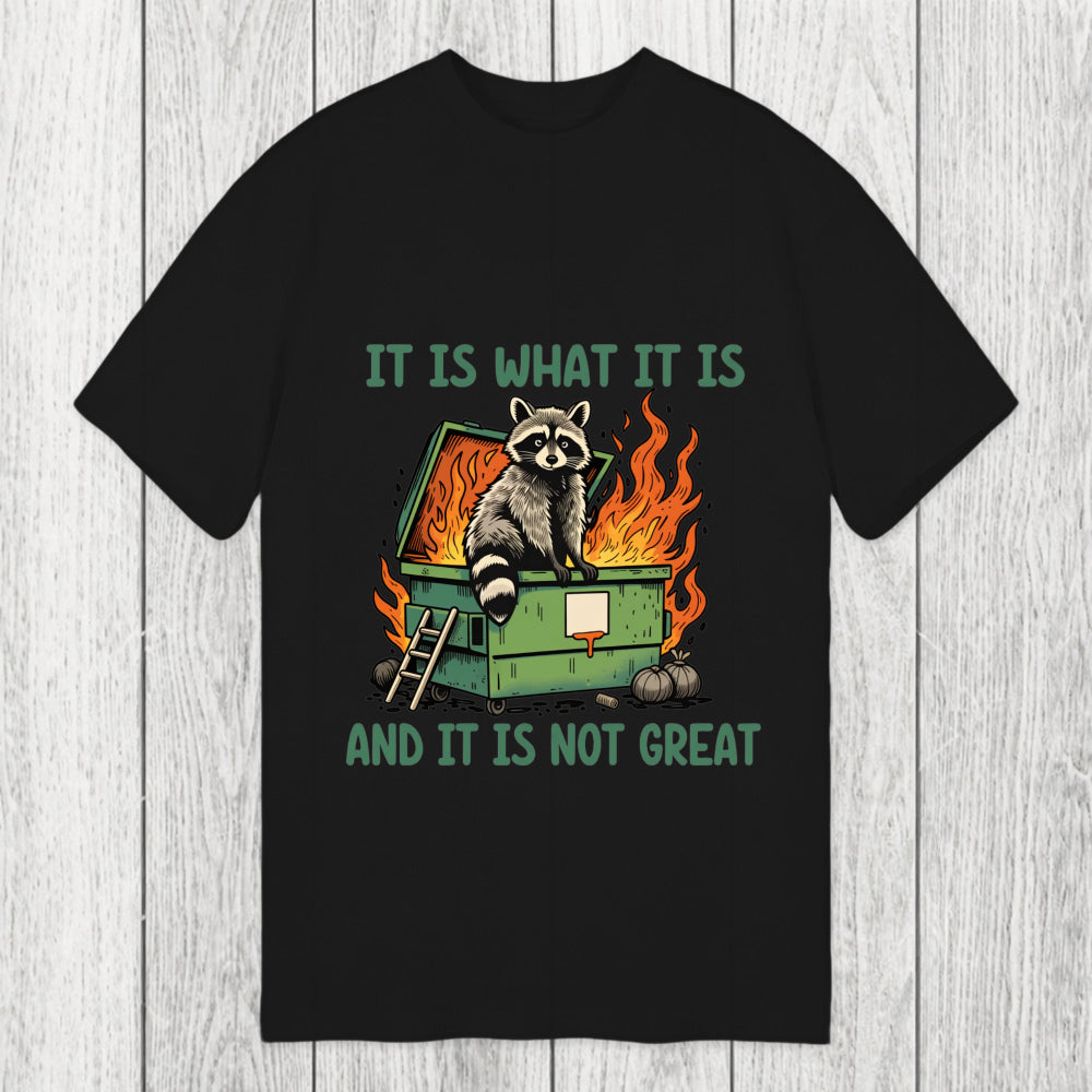 Tokyosol It Is What It Is Dumpster Fire Funny Raccoon Meme Classic T-Shirt