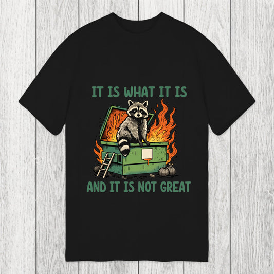 Tokyosol It Is What It Is Dumpster Fire Funny Raccoon Meme Classic T-Shirt