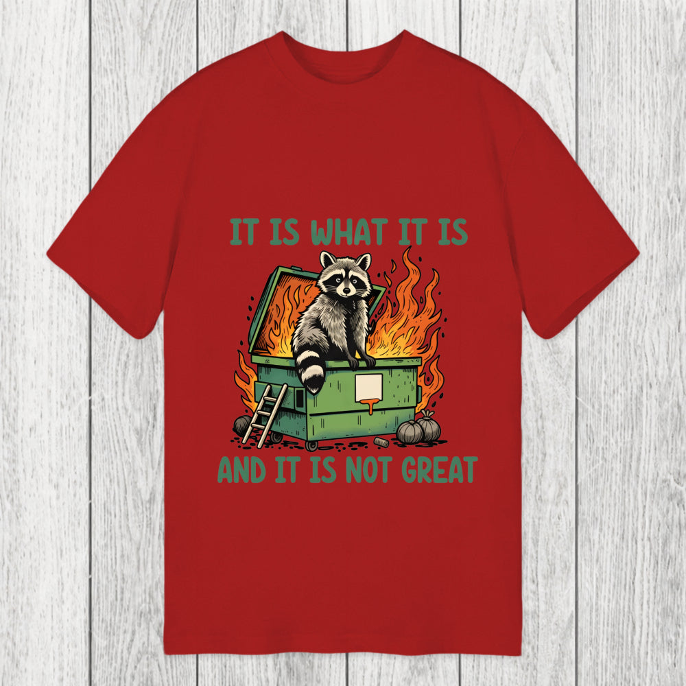 Tokyosol It Is What It Is Dumpster Fire Funny Raccoon Meme Classic T-Shirt