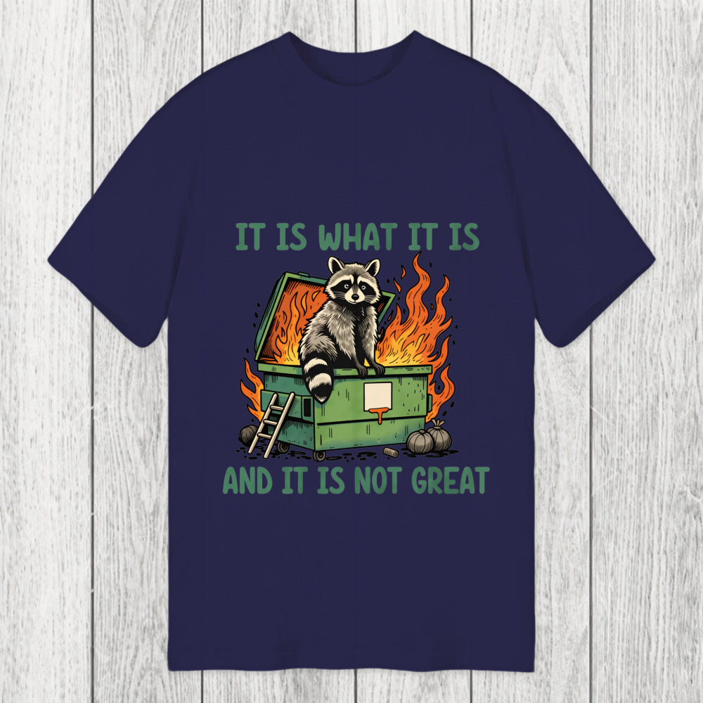 Tokyosol It Is What It Is Dumpster Fire Funny Raccoon Meme Classic T-Shirt