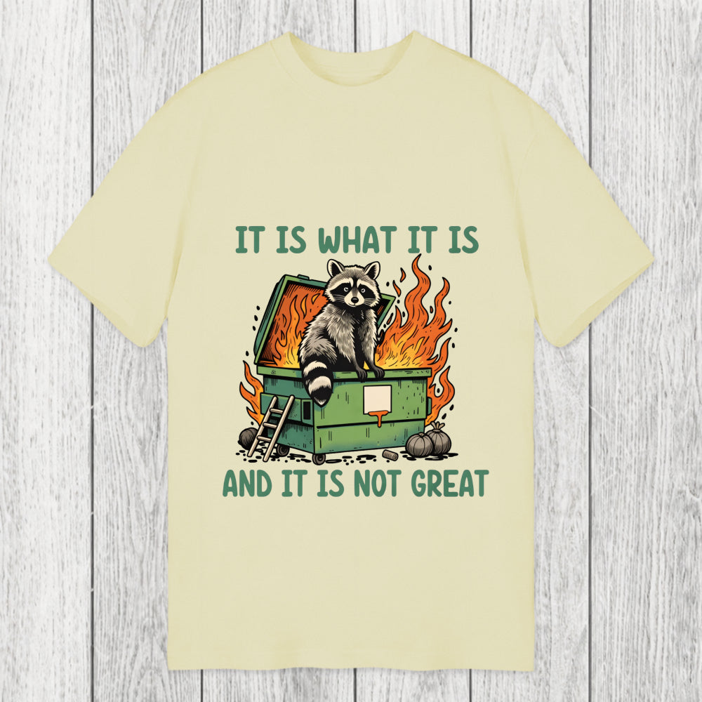 Tokyosol It Is What It Is Dumpster Fire Funny Raccoon Meme Classic T-Shirt