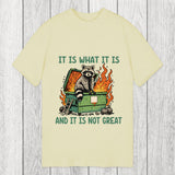 Tokyosol It Is What It Is Dumpster Fire Funny Raccoon Meme Classic T-Shirt