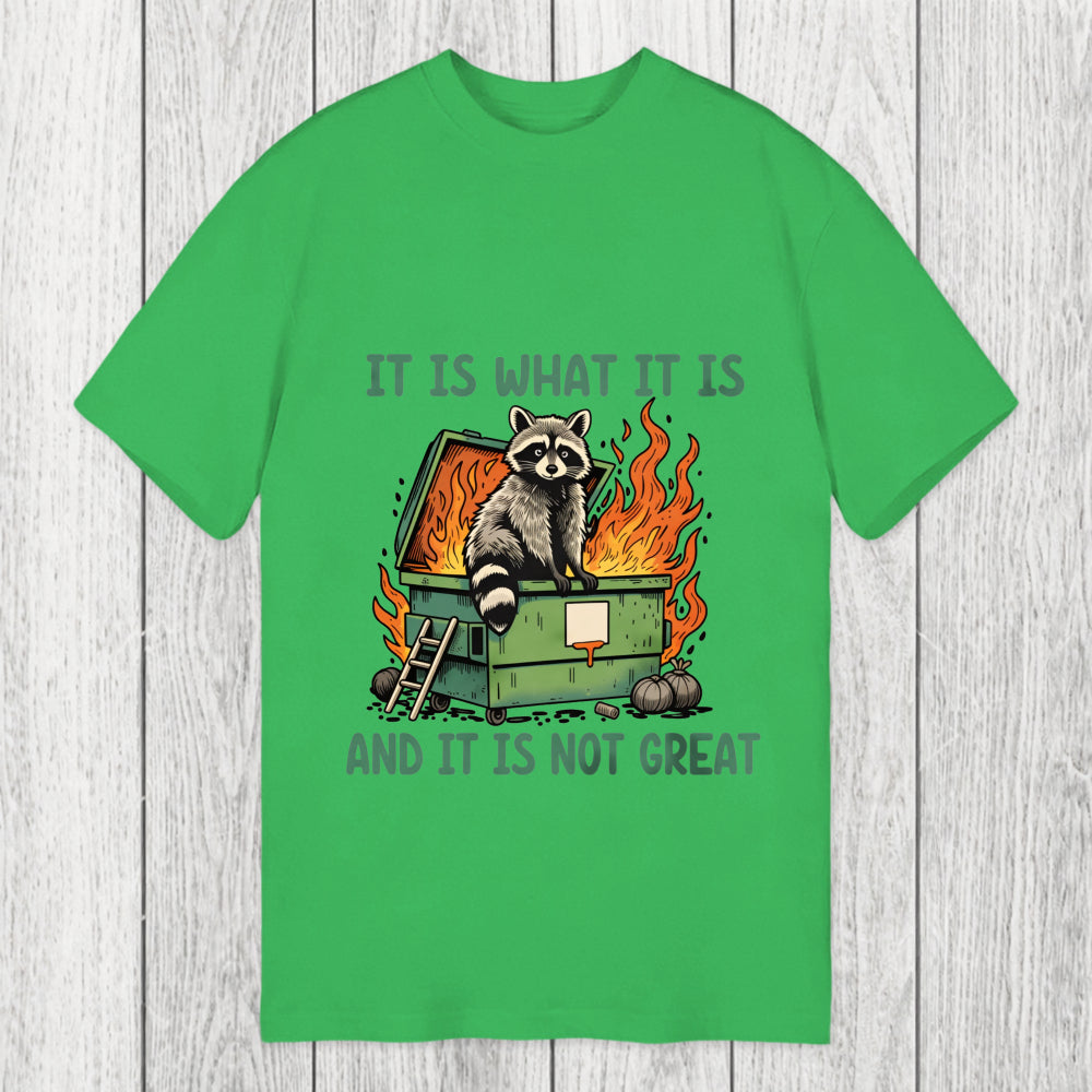 Tokyosol It Is What It Is Dumpster Fire Funny Raccoon Meme Classic T-Shirt
