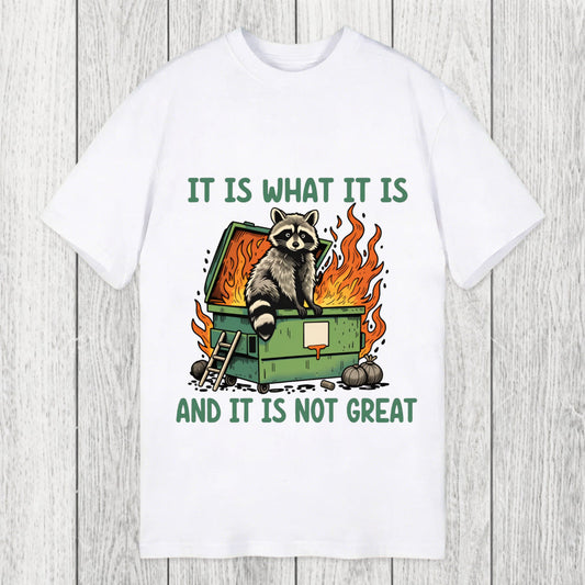 Tokyosol It Is What It Is Dumpster Fire Funny Raccoon Meme Classic T-Shirt