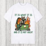 Tokyosol It Is What It Is Dumpster Fire Funny Raccoon Meme Classic T-Shirt