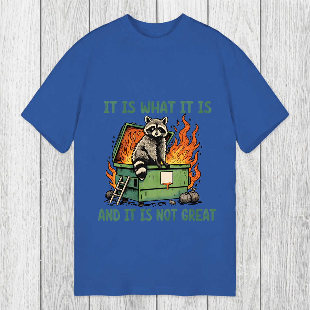 Tokyosol It Is What It Is Dumpster Fire Funny Raccoon Meme Classic T-Shirt