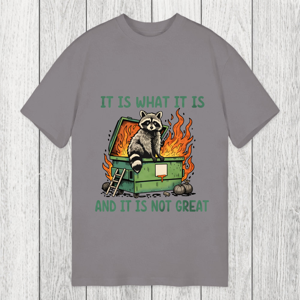 Tokyosol It Is What It Is Dumpster Fire Funny Raccoon Meme Classic T-Shirt