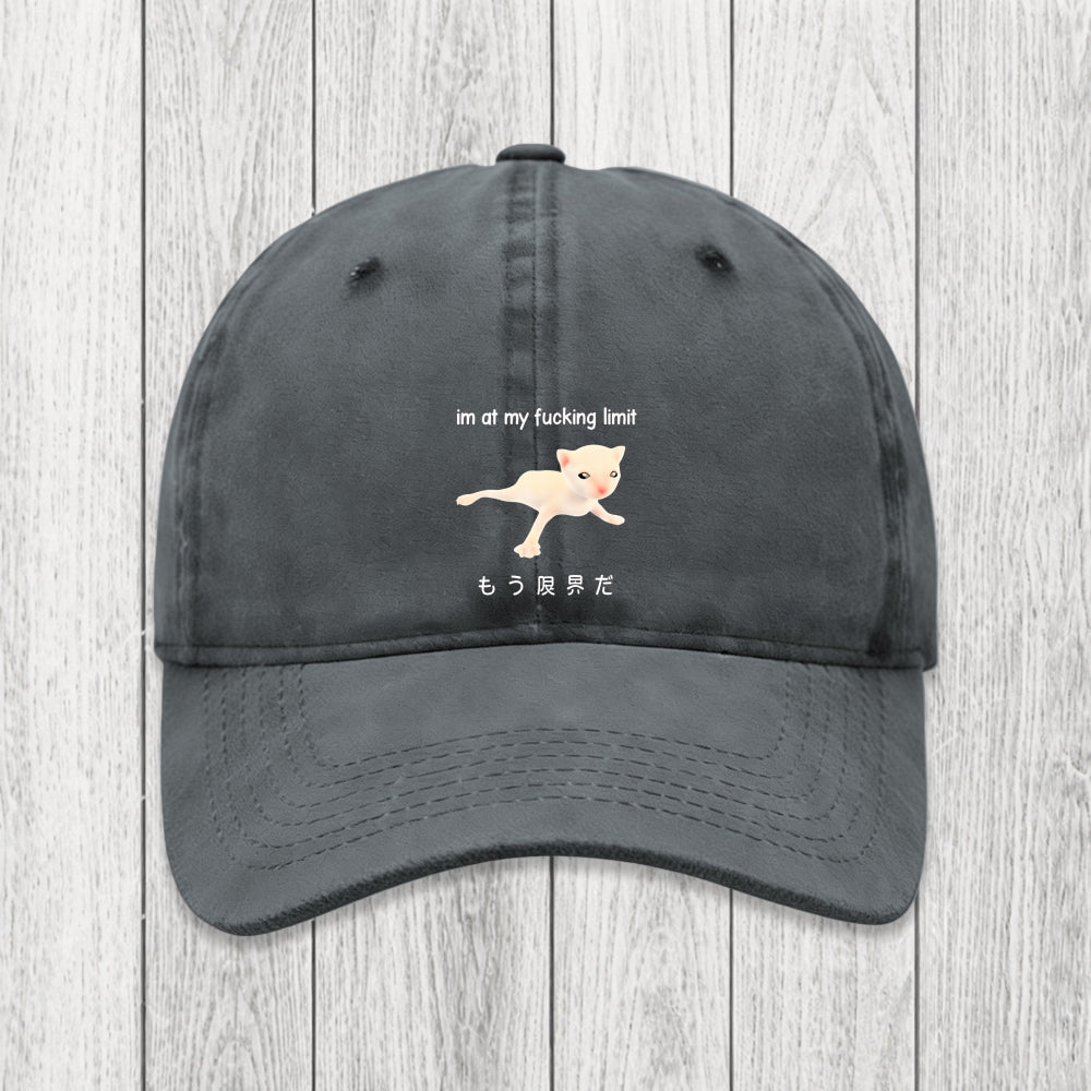 Tokyosol Cat Reaching Its Limit Washed Cap