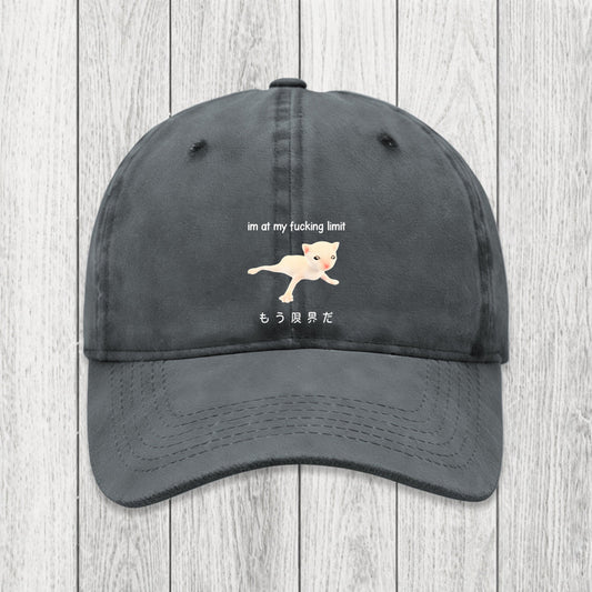 Tokyosol Cat Reaching Its Limit Washed Cap