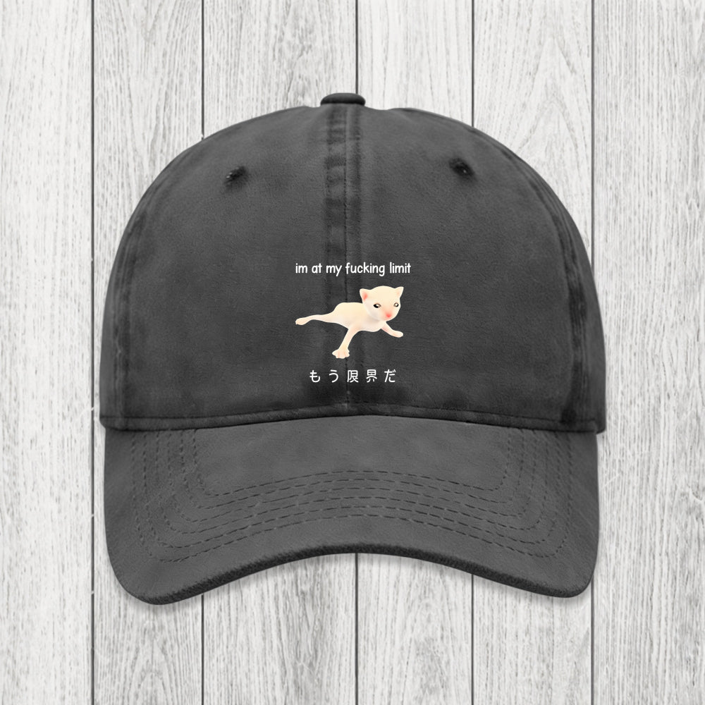 Tokyosol Cat Reaching Its Limit Washed Cap