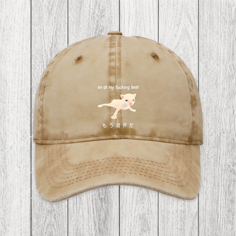 Tokyosol Cat Reaching Its Limit Washed Cap