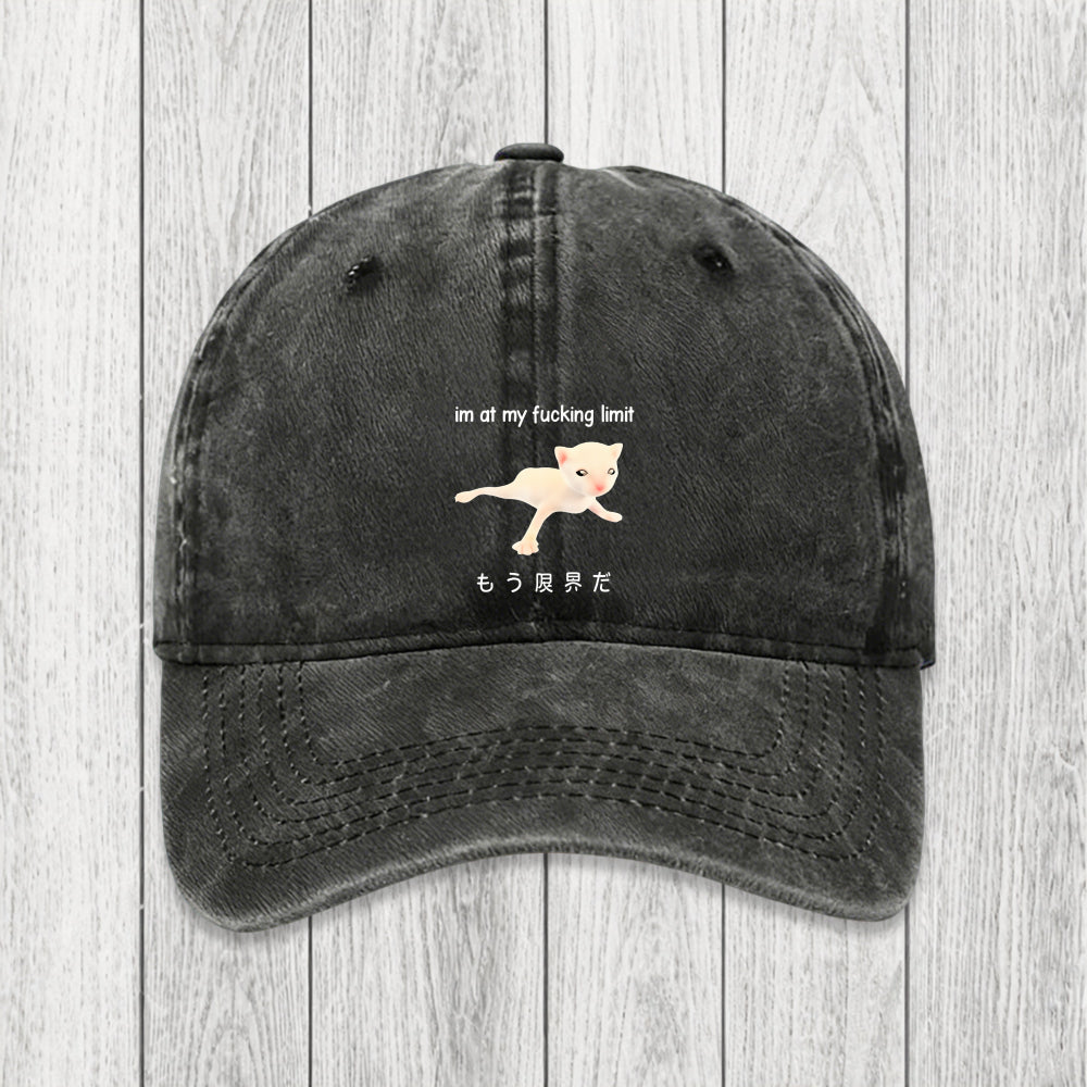 Tokyosol Cat Reaching Its Limit Washed Cap