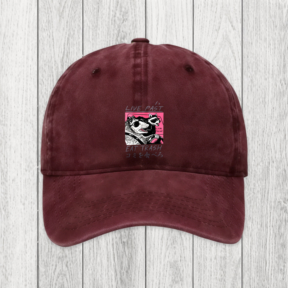 Tokyosol Live Fast Eat Trash Washed Cap