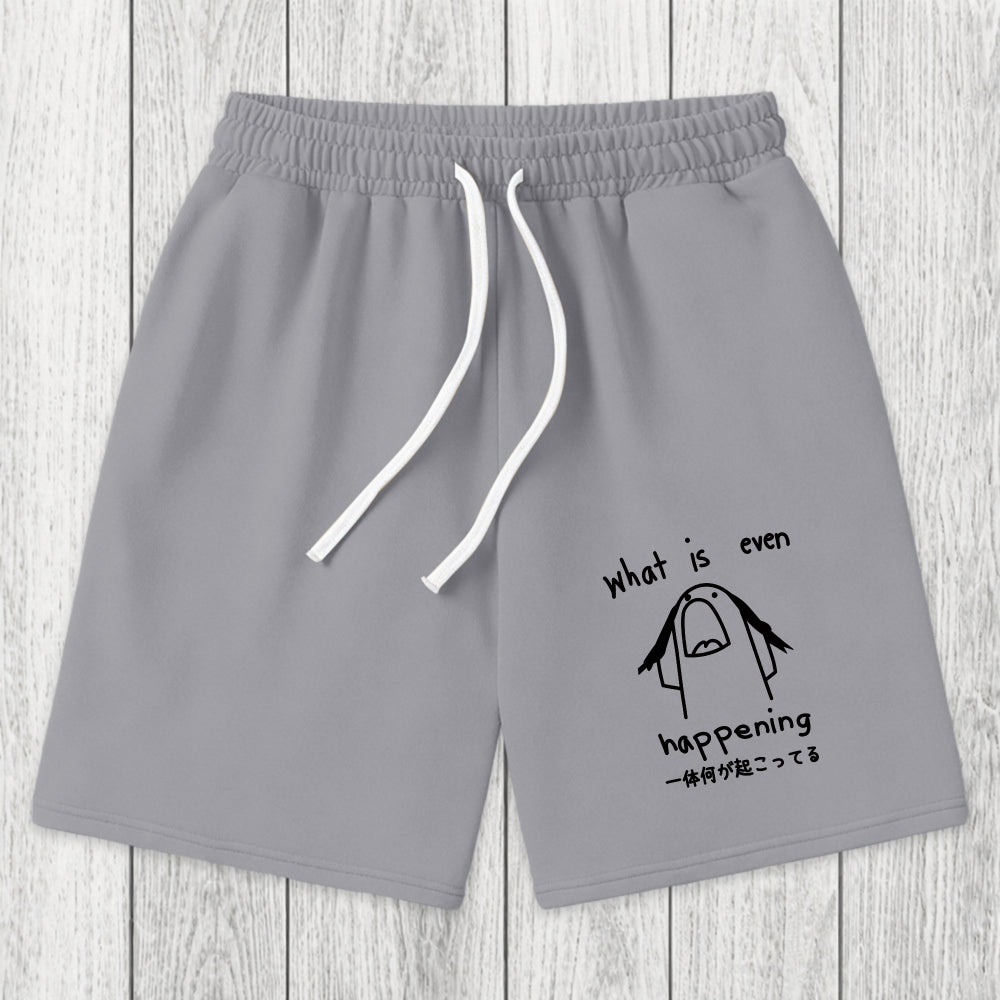 Tokyosol What Is Even Happening Washed Shorts