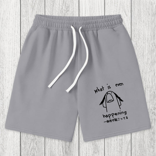 Tokyosol What Is Even Happening Washed Shorts