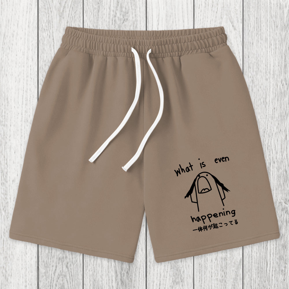 Tokyosol What Is Even Happening Washed Shorts