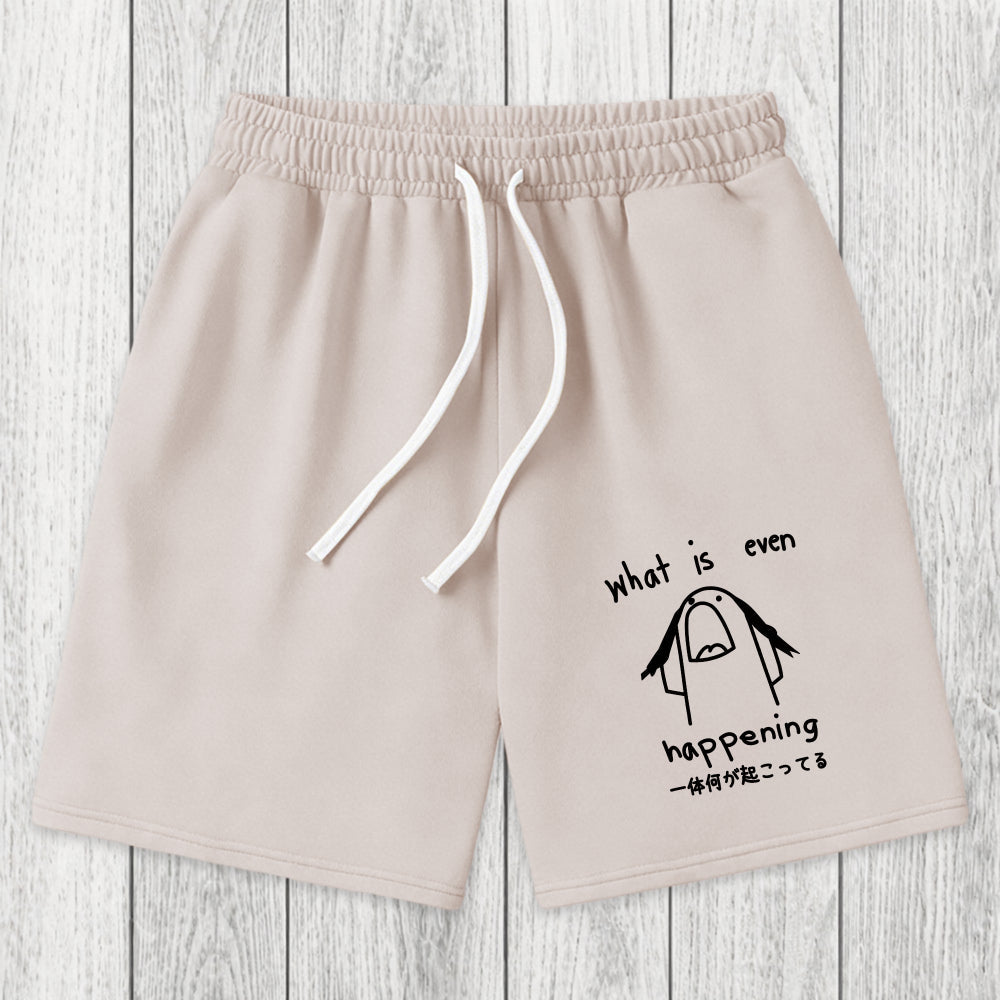 Tokyosol What Is Even Happening Washed Shorts