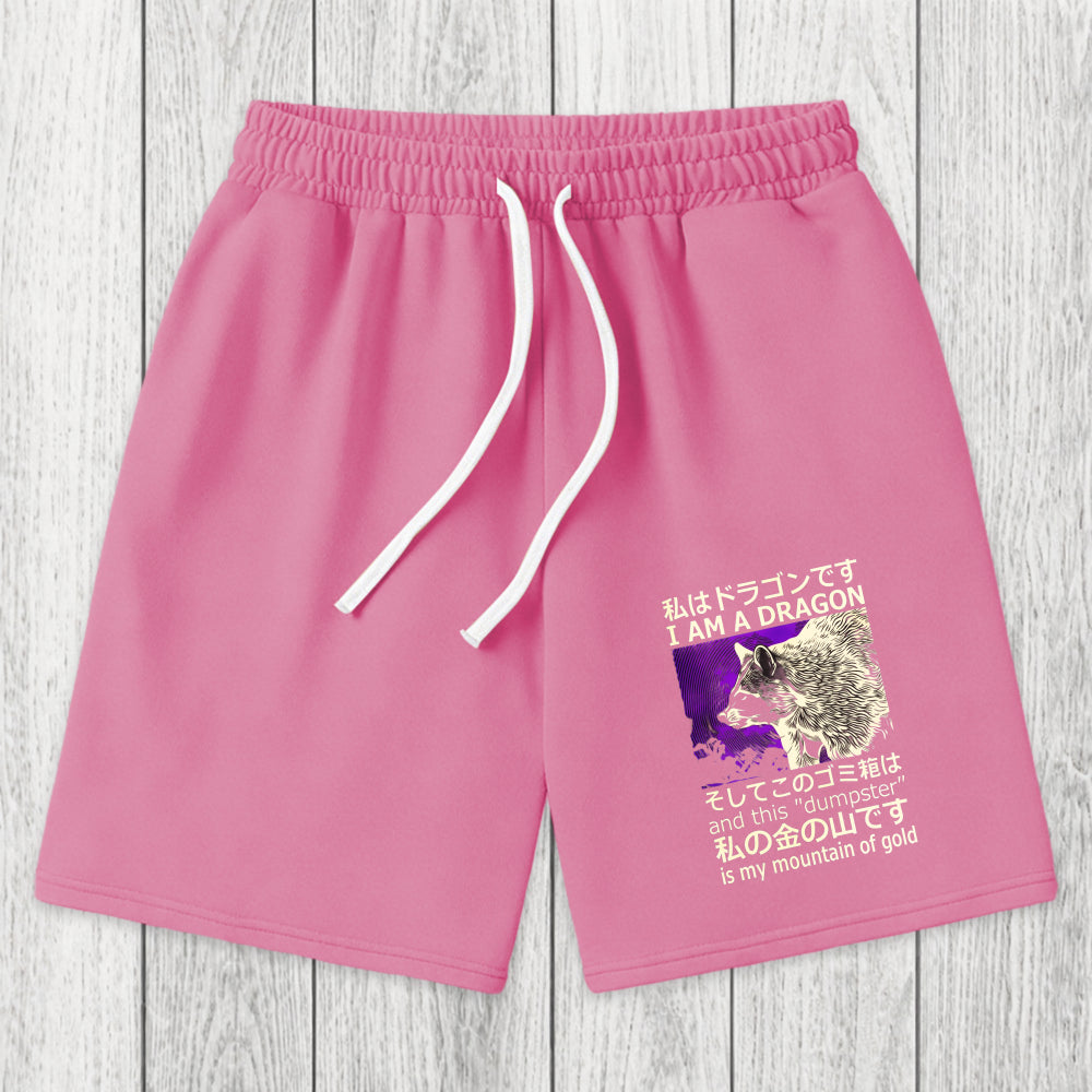 Tokyosol I Am A Dragon and this Dumpster is My Mountain of Gold Washed Shorts
