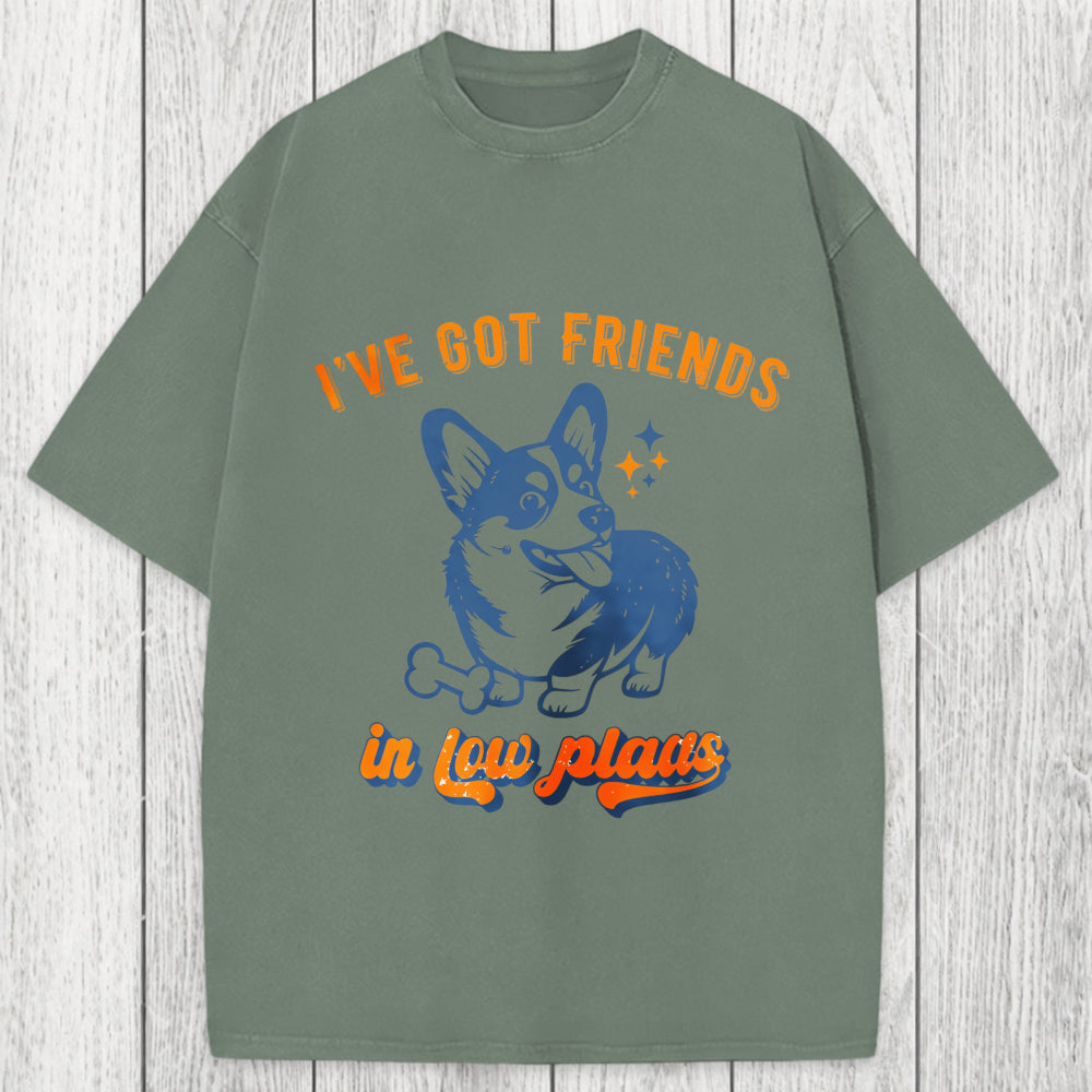 Tokyosol I've Got Friends In Low Places Funny Dog Washed T-Shirt