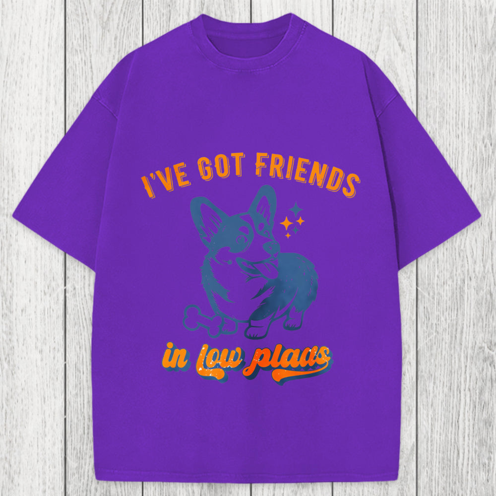 Tokyosol I've Got Friends In Low Places Funny Dog Washed T-Shirt