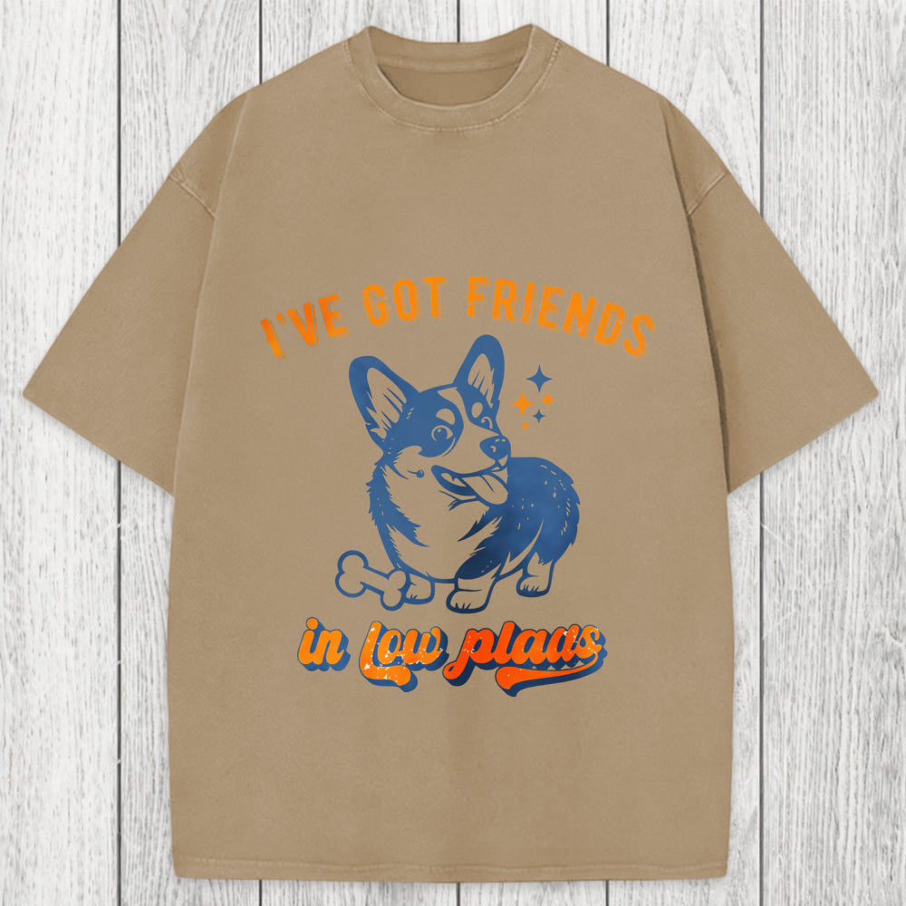 Tokyosol I've Got Friends In Low Places Funny Dog Washed T-Shirt