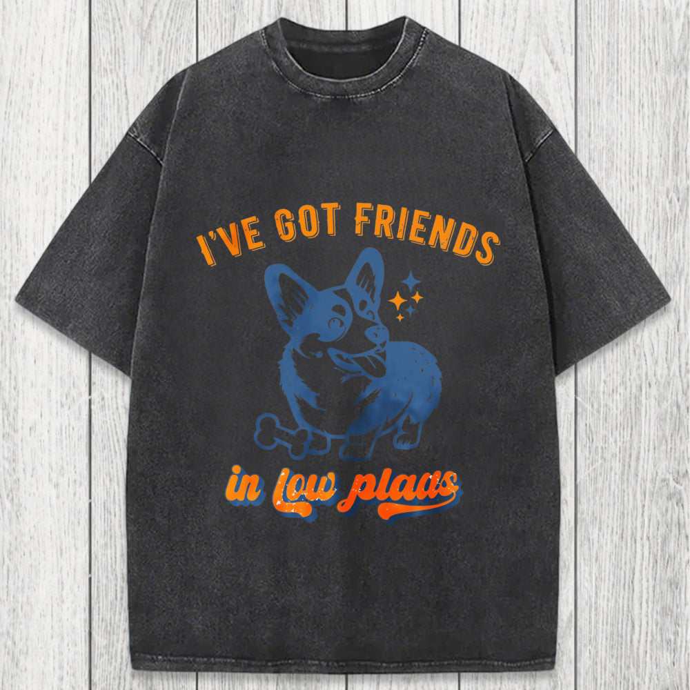 Tokyosol I've Got Friends In Low Places Funny Dog Washed T-Shirt