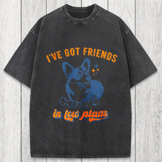 Tokyosol I've Got Friends In Low Places Funny Dog Washed T-Shirt