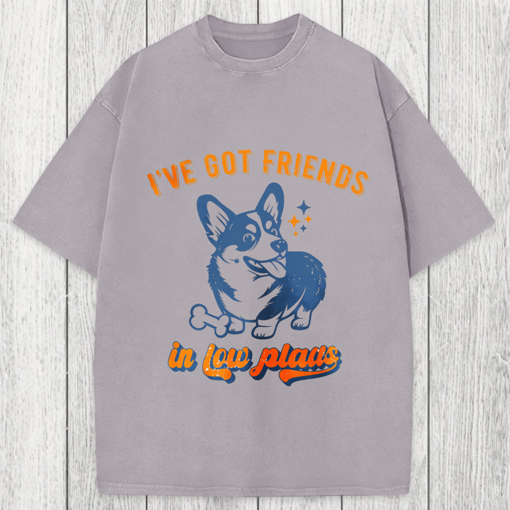 Tokyosol I've Got Friends In Low Places Funny Dog Washed T-Shirt