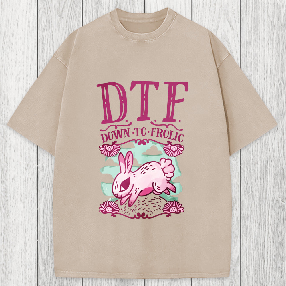 Tokyosol DTF Down To Frolic Washed T-Shirt