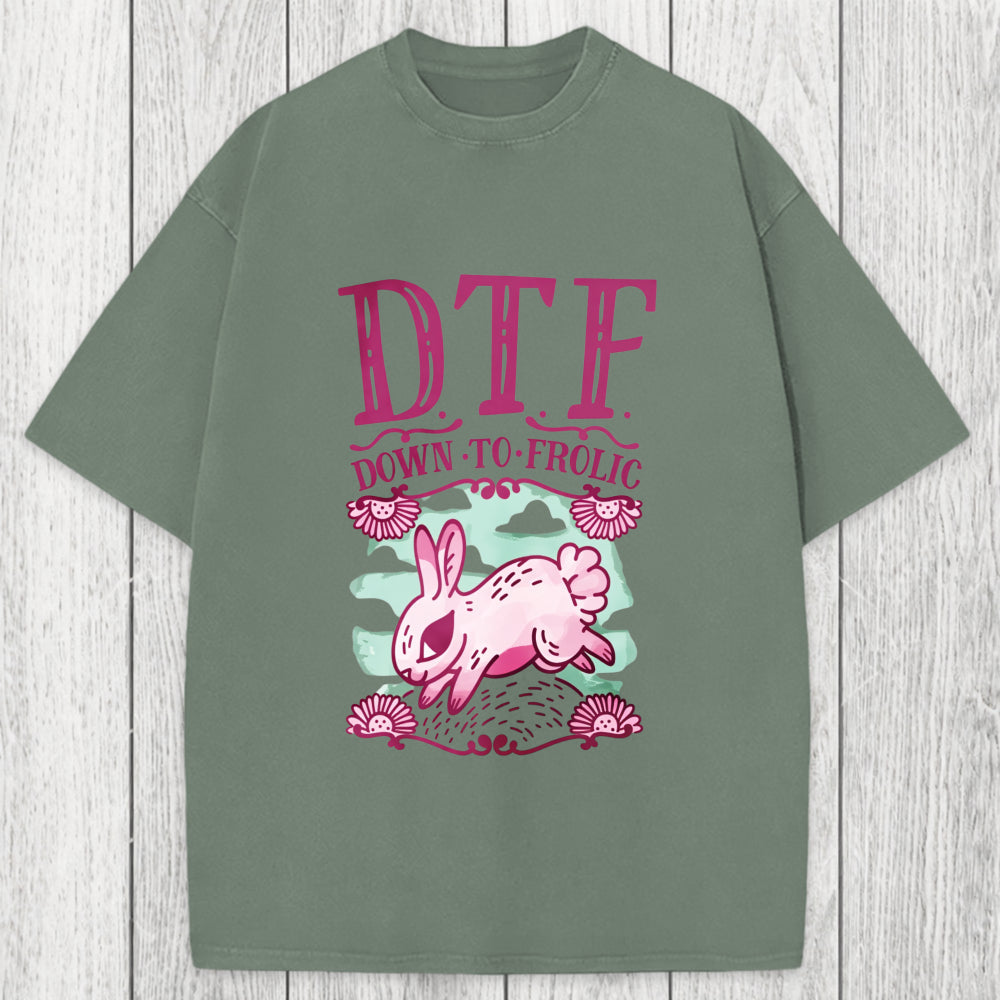 Tokyosol DTF Down To Frolic Washed T-Shirt