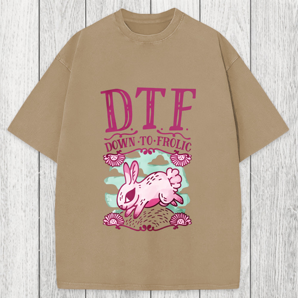 Tokyosol DTF Down To Frolic Washed T-Shirt