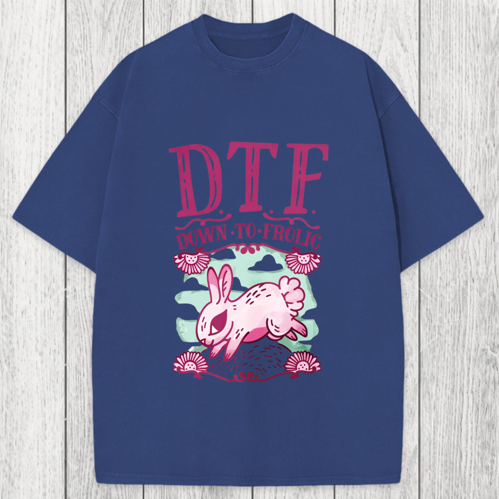 Tokyosol DTF Down To Frolic Washed T-Shirt