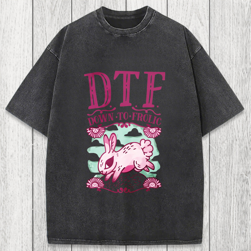 Tokyosol DTF Down To Frolic Washed T-Shirt